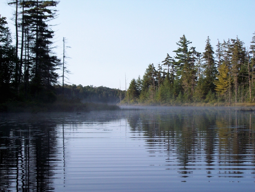 Streeter Lake Aldrich Nature Up North